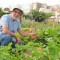 Cultiva salud, cultiva ecológico